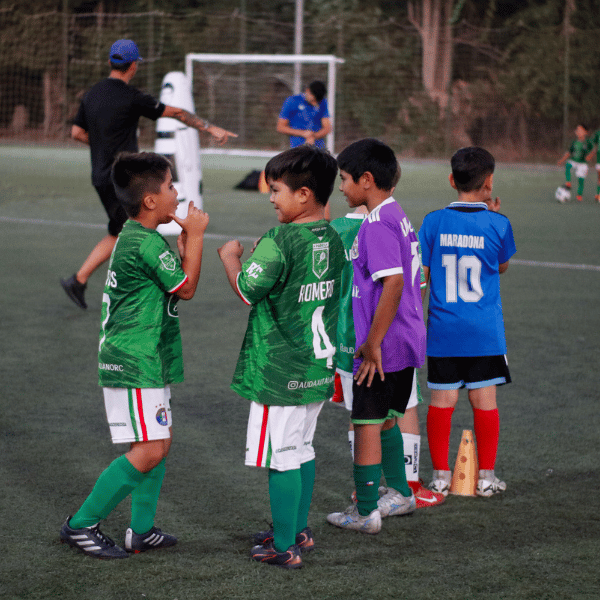 Escuela de Fútbol Infantil Cereceda